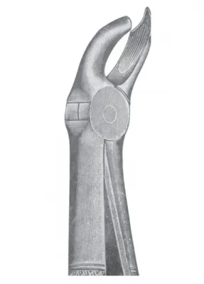 Fig. 28 